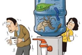 桶装水保质期是多久？超过多少天就不能喝了？桶装水多少升多钱一桶