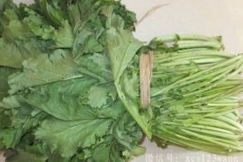 雪里红是发物吗 什么人不能吃