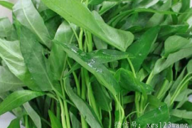 空心菜泡水了还能吃吗 可以榨汁喝吗