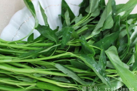 空心菜和香菇能一起吃吗 和木耳可以一起炒吗
