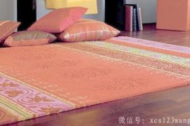 地毯的尘土怎么清洗
