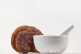 灵芝不能和什么同吃