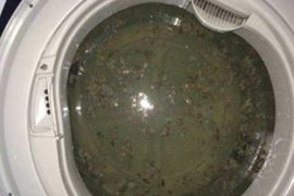 洗衣机长时间不清洗，比马桶还脏，教你一招如何清洗！