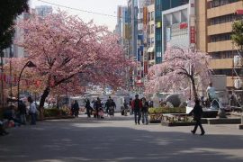 去日本应留意什么商务文化礼仪及忌讳