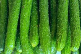 多余的热量转换成脂肪 可以被你吃掉脂肪的减肥食谱
