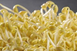 蔬菜有最佳的瘦身功效 美容美体的超级食品