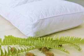 枕头不对睡眠成颈椎病帮凶 选购合适的枕头学问多