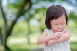被蚊虫叮咬后应避免的行为 快速止痒的小方法