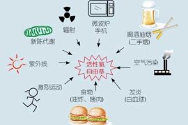 自由基是什么 自由基的危害