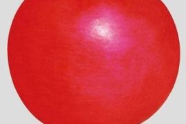 东北雌性红萝卜治疗痛风