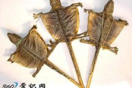 得了肺结核怎么办？蛤蚧治疗肺结核偏方