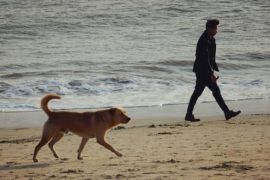 散步可以让身体放松强身健体 散步的讲究