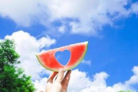 漫长的夏日影响身体健康 夏日吃苦胜似进补