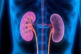 要想肾脏芳华永驻 提倡在没病时就做好预防