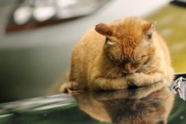 春天总爱犯困别大意  提神补充能量吃这些