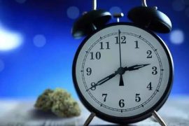 失眠障碍影响健康 给你良好睡眠的十条建议