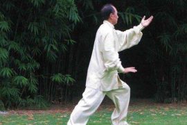 太极养生有哪些特点