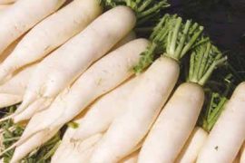 10种蔬菜让你的肌肤洁白无瑕