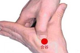 春分养生不用愁，两大穴位解你忧