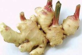 生姜发芽了还能吃吗？